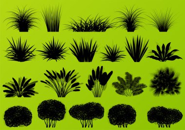 Exotic jungle bushes grass, reed, palm tree wild plants collecti clipart