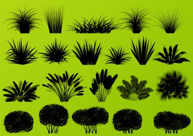 Exotic jungle bushes grass, reed, palm tree wild plants collecti vector Exotic jungle bushes grass, reed, palm tree wild plants collecti vector