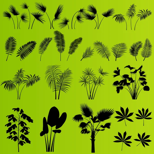 エキゾチックな熱帯のジャングルの草や植物の背景のベクトル — ストックベクタ