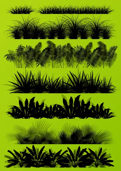 Tropical exotique jungle herbe et plantes silhouettes détaillées bac — Image vectorielle