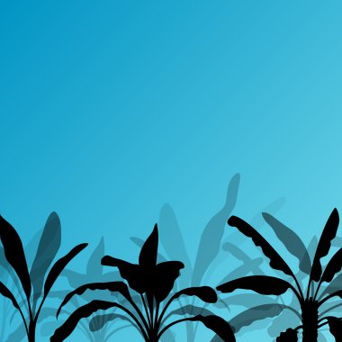 egzotik muz ağacı bitkilerin ekimi siluet landsca ayrıntılı