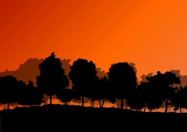Orman ağaçlarının silhouettes doğal vahşi manzara detaylı illustr