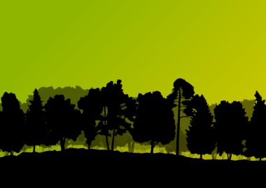 Orman ağaçlarının silhouettes doğal vahşi manzara detaylı illustr