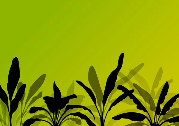 エキゾチックなバナナ木植物プランテーション詳細シルエットの風景 — ストックベクタ