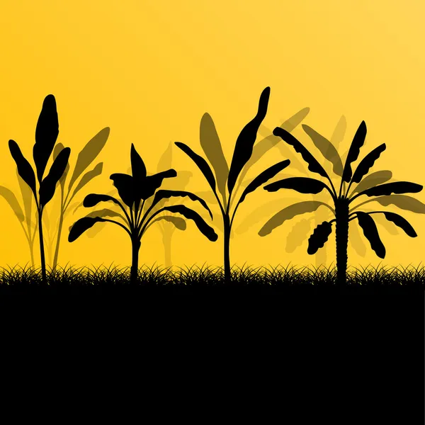 Exotic banana tree plants plantation detailed silhouette landsca — Stock Vector