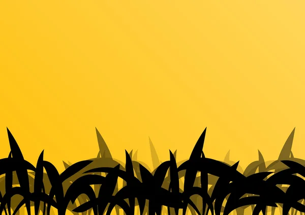 Tropical exotic jungle grass and plants detailed silhouettes lan — Stockvector