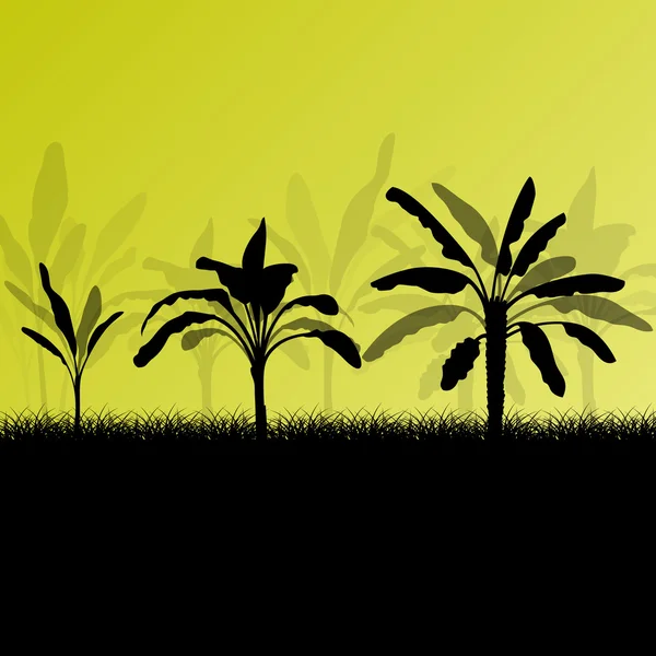 エキゾチックなバナナ木植物プランテーション詳細シルエットの風景 — ストックベクタ