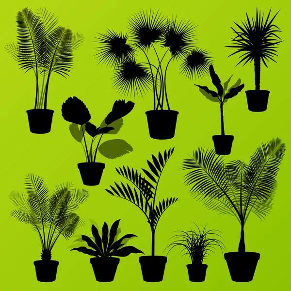 Egzotik orman çalılar çimen, reed, palmiye ağacı vahşi bitkiler set vect — Stok Vektör