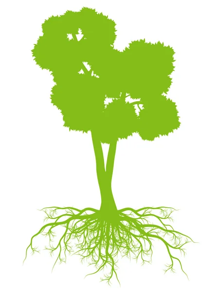 Träd med rötter bakgrund ecology vector konceptet kort — Stock vektor