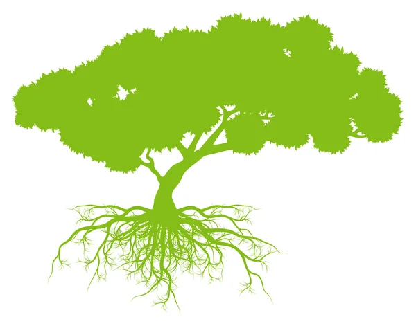 Baum mit Wurzeln Hintergrund Ökologie Vektor Konzept Karte — Stockvektor