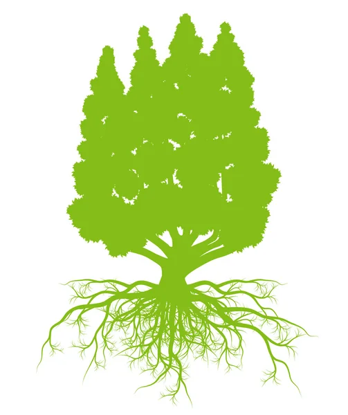 Árbol con raíces ecología fondo vector concepto tarjeta — Vector de stock