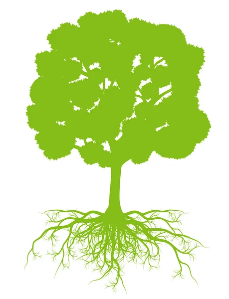 Träd med rötter bakgrund ecology vector konceptet kort — Stock vektor