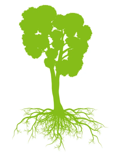 Arbre avec fond racinaire écologie vecteur concept card — Image vectorielle