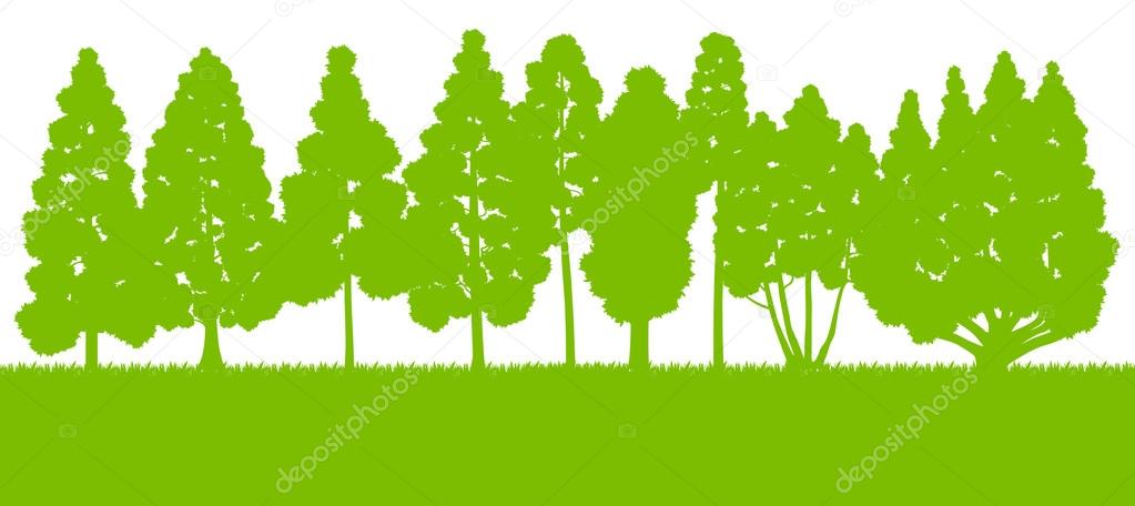 Forest trees silhouettes landscape illustration background vecto