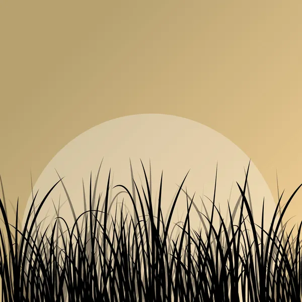 Roseau de lac et plantes d'eau sauvage silhouettes détaillées extérieur malade — Image vectorielle