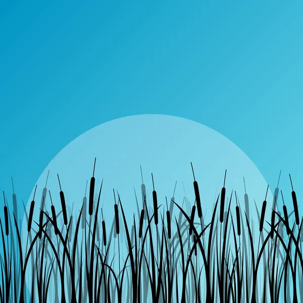 Roseau de lac et plantes d'eau sauvage silhouettes détaillées extérieur malade — Image vectorielle