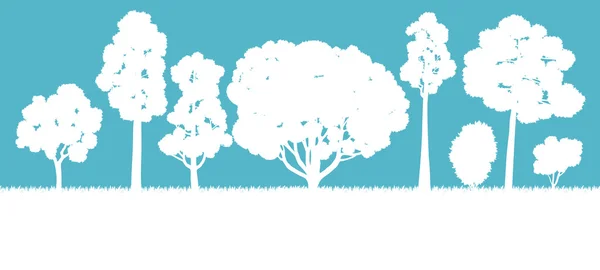 生态概念详细的森林树插图矢量 backgro — 图库矢量图片