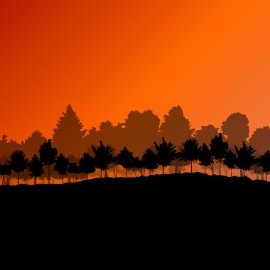 Orman ağaçlarının silhouettes doğal vahşi manzara detaylı illustr