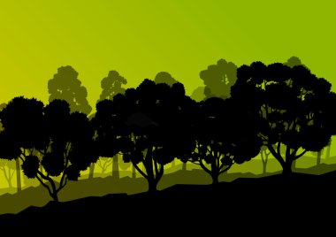 Orman ağaçlarının silhouettes doğal vahşi manzara detaylı illustr