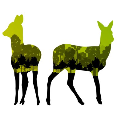 Doe geyik geyik hayvan siluetleri vahşi doğa orman landsc içinde