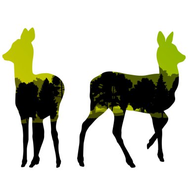 Doe geyik geyik hayvan siluetleri vahşi doğa orman landsc içinde