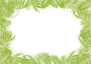tropische jungle regenwoud vector achtergrond leeg frame d