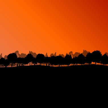 Orman ağaçlarının silhouettes doğal vahşi manzara detaylı illustr