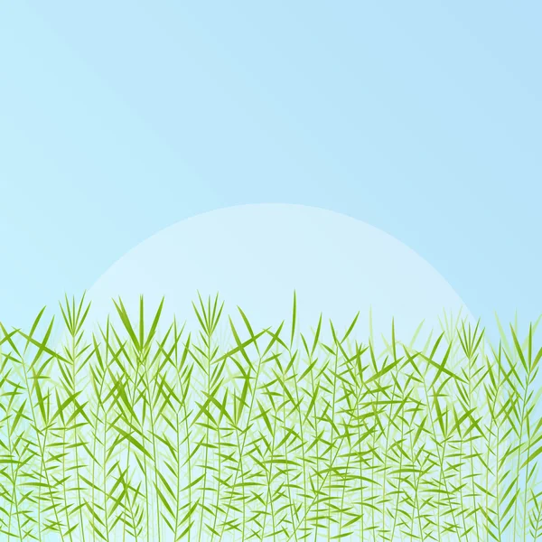 Herbe illustration détaillée fond — Image vectorielle