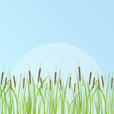 Cattail detailed illustration background clipart