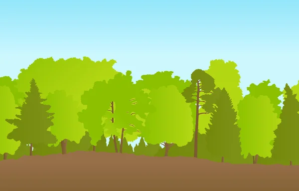 Bosque en verano vector fondo paisaje — Archivo Imágenes Vectoriales