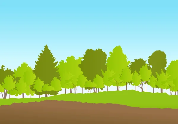 Bos in zomer vector achtergrond landschap — Stockvector