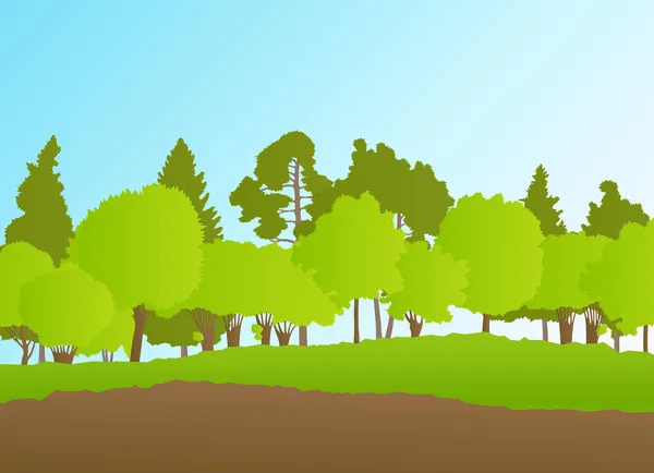 Bos in zomer vector achtergrond landschap — Stockvector