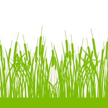 Grass, wild plants detailed silhouettes illustration background vector Grass, wild plants detailed silhouettes illustration background vector