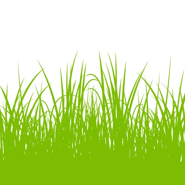 Gras, Wildpflanzen detaillierte Silhouetten Illustration Hintergrund — Stockvektor