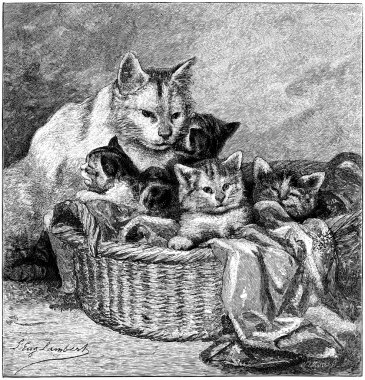 Maternity, Cat with kittens, vintage engraved illustration clipart