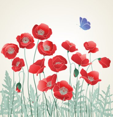 gebied van rode papavers met blauwe vlinder