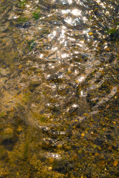 Seabed at low tide, clear water running over cockles, shells and stones with sparkles. Water with sparkles, pebbles seabed, jade green crystal clear rippled water. The water surface is so clear that you can see through and see the pebble below.