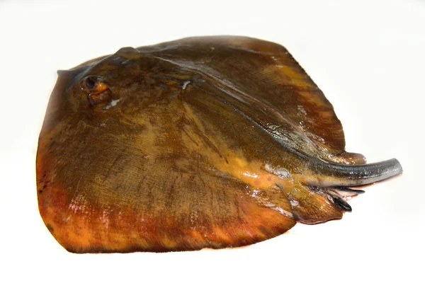 tarafından gelen ortak stingway