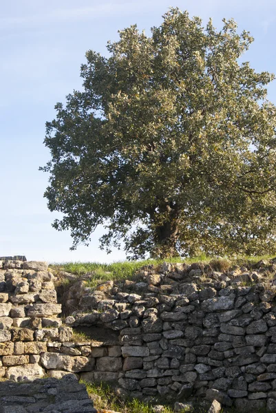 Vecchio muro e una collina — Foto Stock