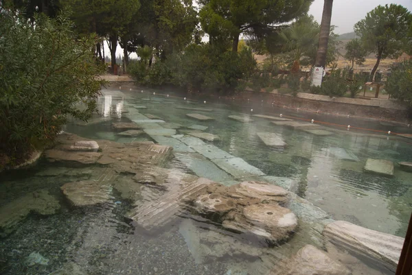 The pool — Stock Photo, Image