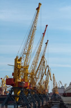 Vinçler, tek bir satırda stand