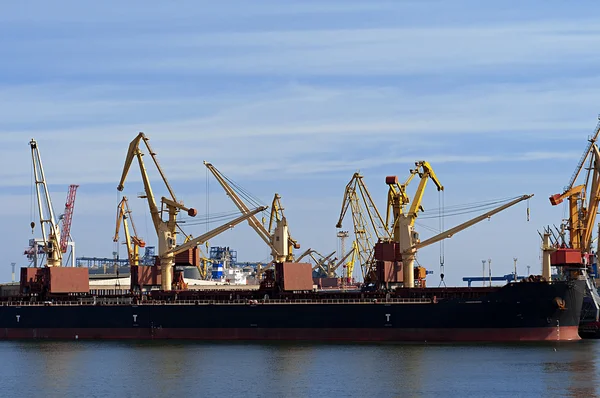 Cranes in harbor — Stock Photo, Image