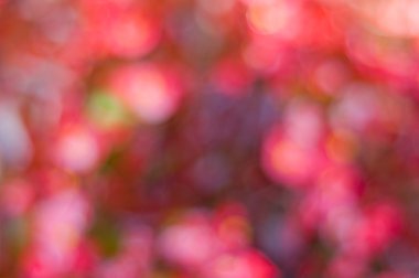 Renkli soyut arkaplan