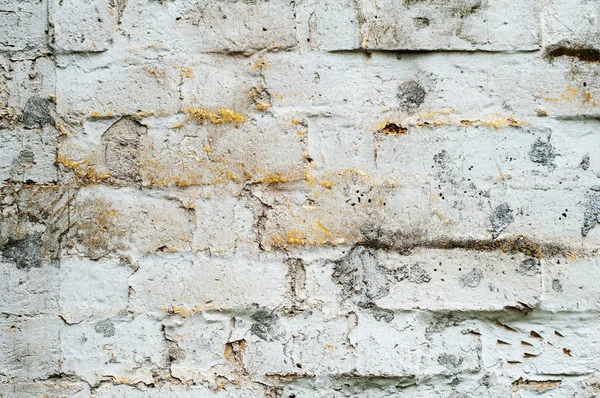 みすぼらしい塗料や石膏の亀裂の背景の質感 — ストック写真