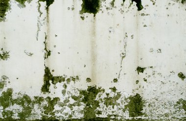 Döküntü boya ve alçı çatlaklarının dokusu