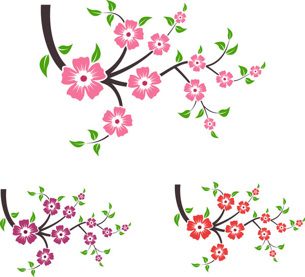 Branches of sakura.
