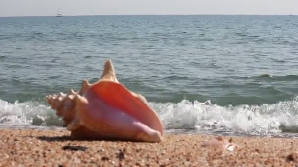 Relájese en la playa — Vídeo de stock