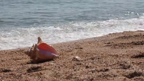Relaxe na praia — Vídeo de Stock