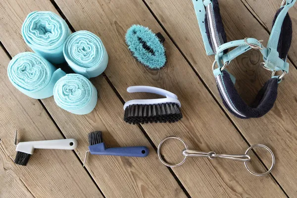 Ata binme ve bakım ekipmanları: çeşitli boyutlarda ve amaçlarda fırçalar, dizginler, bandajlar