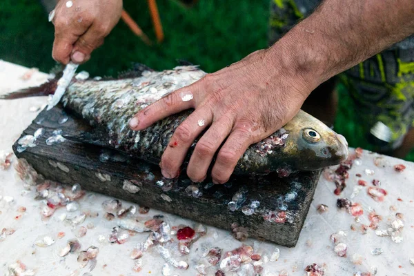 Man Cleans Freshwater Fish Scales Big Knife Fisherman Prey — Foto de Stock